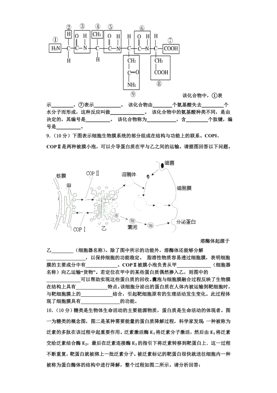 山西省吕梁市孝义市2023-2024学年生物高一第一学期期末监测模拟试题含解析.doc_第2页