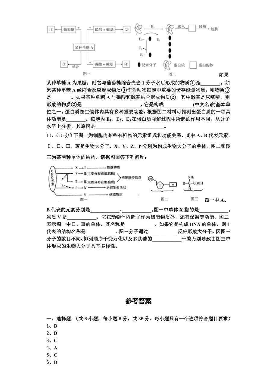 山西省吕梁市孝义市2023-2024学年生物高一第一学期期末监测模拟试题含解析.doc_第3页