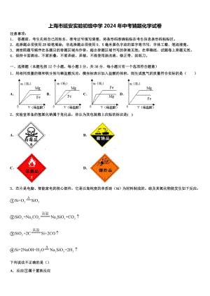 上海市延安实验初级中学2024年中考猜题化学试卷含解析.doc