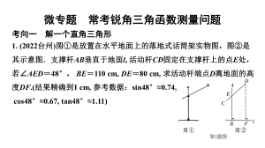 2024陕西中考数学二轮重点专题研究 微专题 常考锐角三角函数测量问题（课件）.pptx