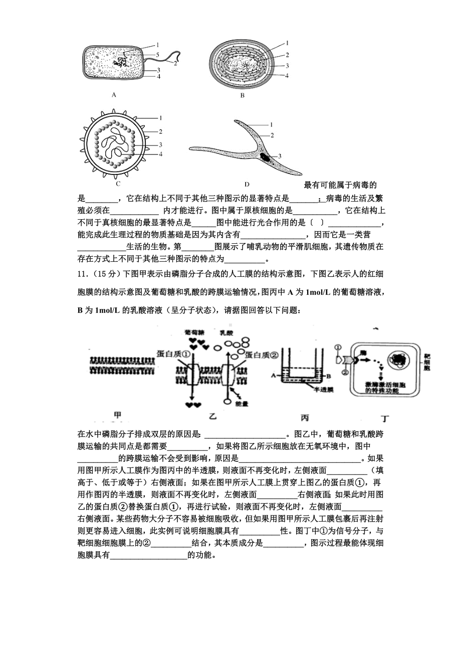 2023年浙江省普通高等学校高一生物第一学期期末学业质量监测模拟试题含解析.doc_第3页