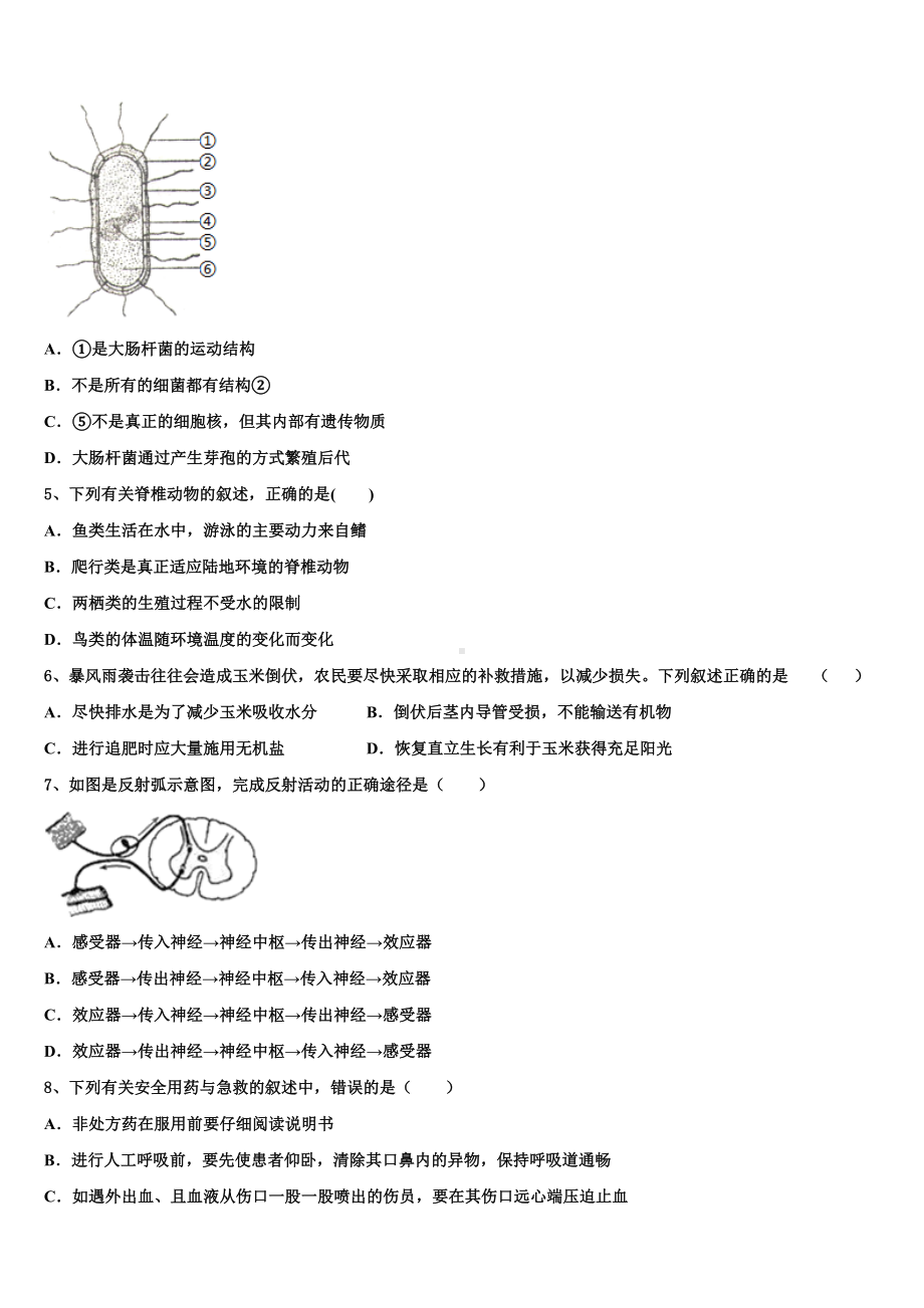 天津市大港区第六中学2023-2024学年中考生物全真模拟试卷含解析.doc_第2页