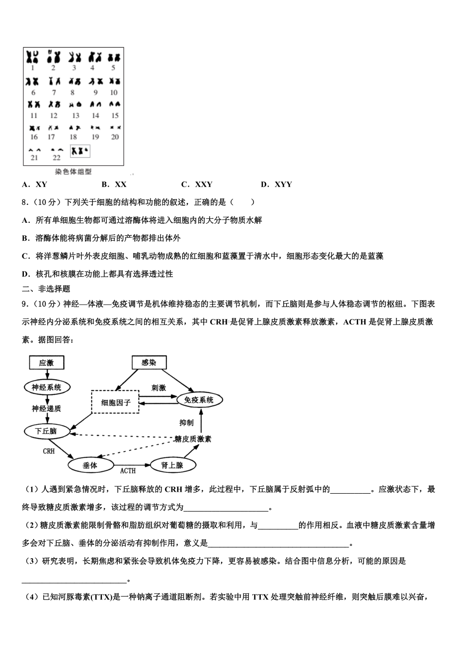 山东省2024年高三一诊考试生物试卷含解析.doc_第3页