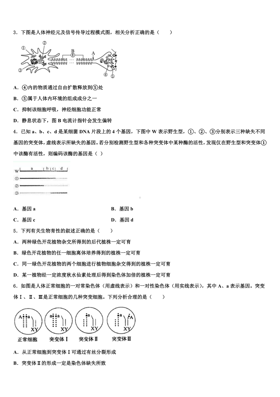 2024届山东省齐河县一中高三第二次模拟考试生物试卷含解析.doc_第2页