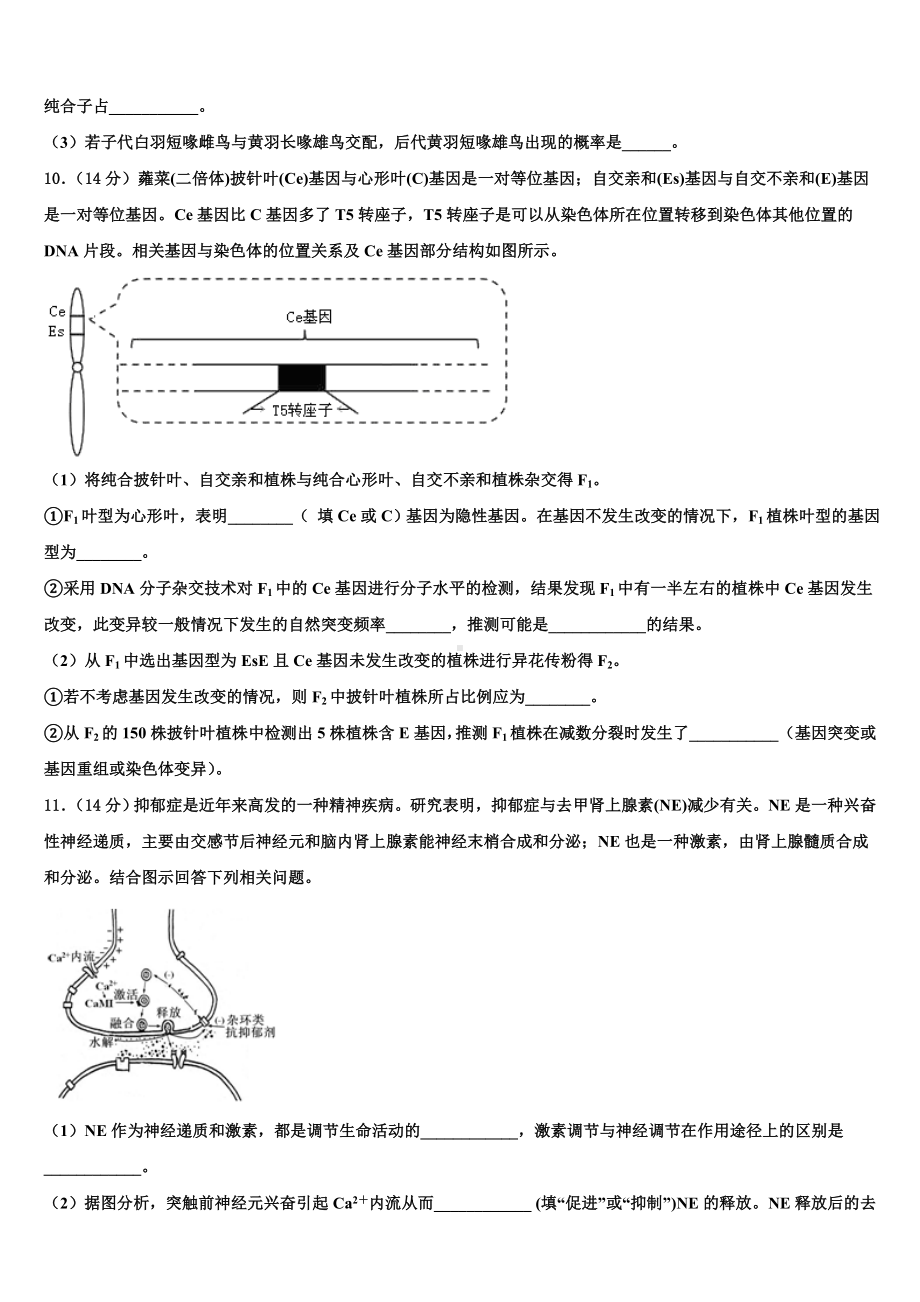 江西省宜丰县第二中学2023-2024学年高三第六次模拟考试生物试卷含解析.doc_第3页