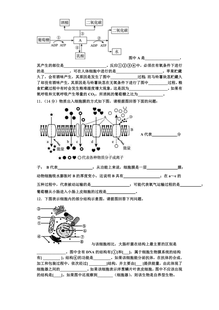 2023年云南省景东彝族自治县一中高一生物第一学期期末质量跟踪监视模拟试题含解析.doc_第3页