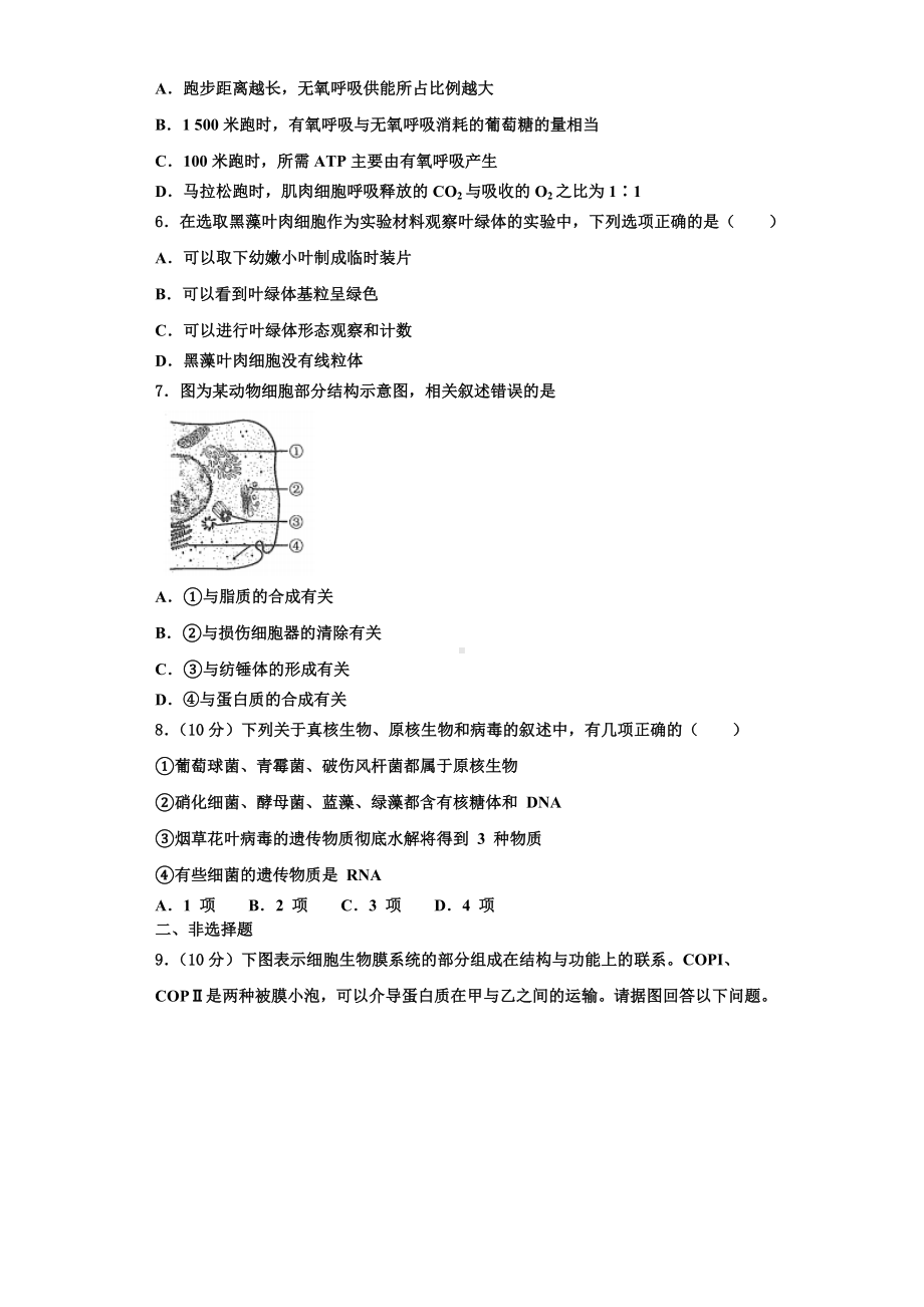 湖北省枝江市部分高中2023年高一生物第一学期期末统考模拟试题含解析.doc_第2页