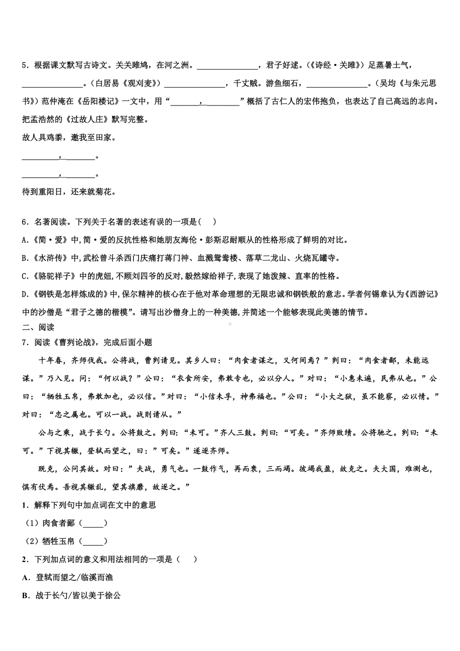 山东省临沂市12中学2024年中考语文模拟试题含解析.doc_第2页