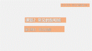 10.2.1常见的酸 课件 2024-2025学年人教版（2024）化学九年级下册.pptx