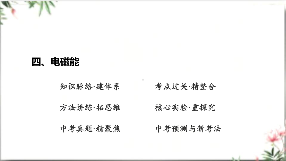 2025年广东中考物理第一部分考点精准解读四、电磁能第25课时 测量小灯泡的电功率 焦耳定律.pptx_第2页