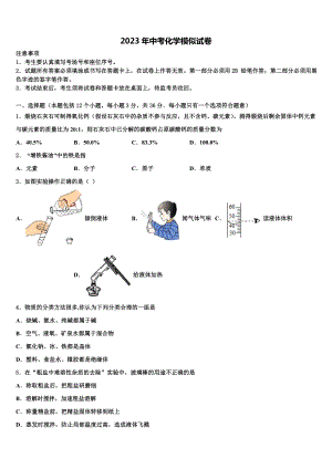 2023届广东省韶关市南雄市中考四模化学试题含解析.doc