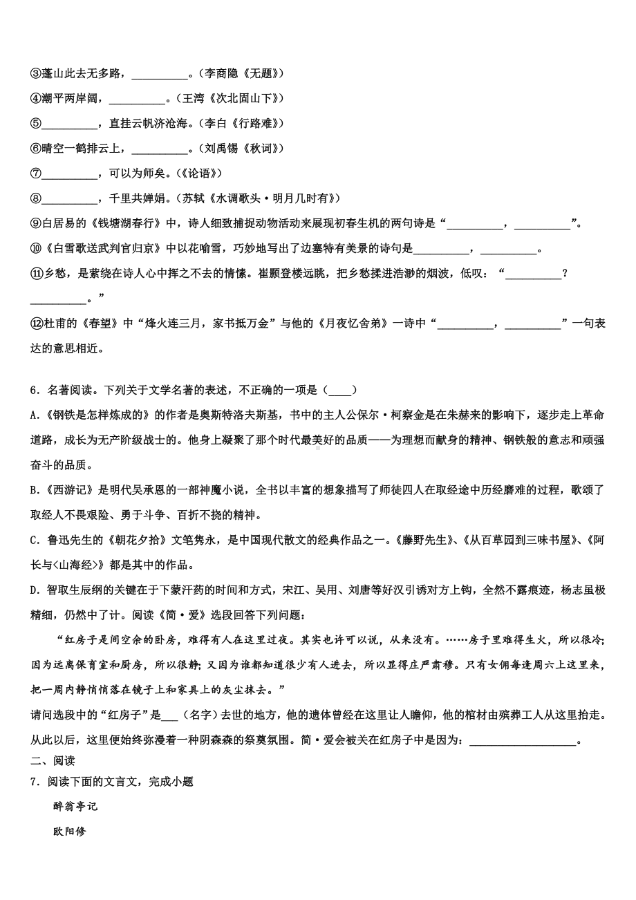 2023-2024学年江苏省句容市华阳片中考押题语文预测卷含解析.doc_第2页