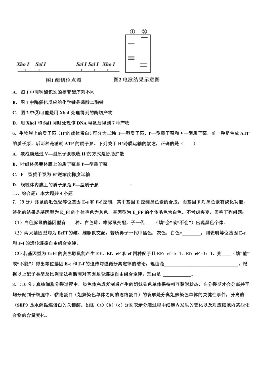 2024届宁夏回族自治区育才中学高三生物第一学期期末复习检测试题含解析.doc_第2页