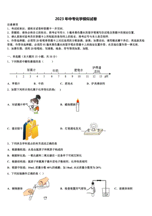 2023届陕西省延安市洛川县中考化学适应性模拟试题含解析.doc