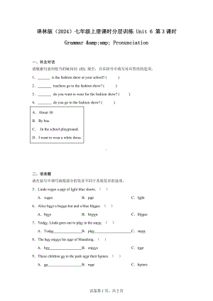 译林版(2024)七年级上册课时分层训练Unit6第3课时Grammarampamp.docx