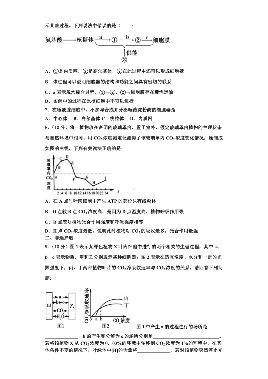 安徽省定远县张桥中学2023-2024学年高一生物第一学期期末经典模拟试题含解析.doc_第2页