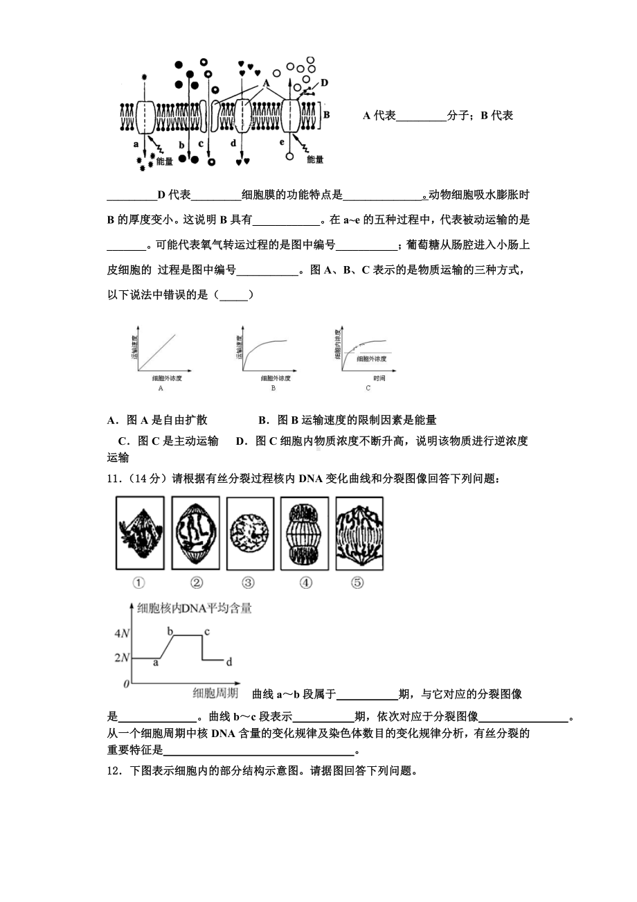 2023-2024学年山东省济宁市汶上一中高一生物第一学期期末教学质量检测模拟试题含解析.doc_第3页