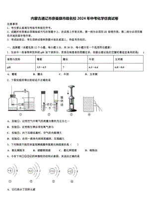 内蒙古通辽市奈曼旗市级名校2024年中考化学仿真试卷含解析.doc