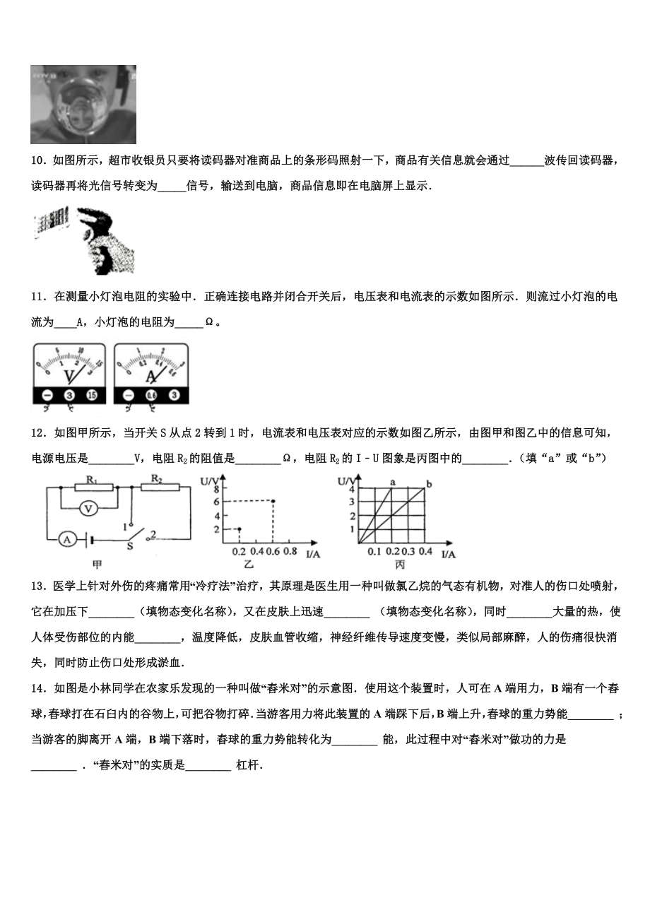 2023-2024学年广东省广州市育才实验中学重点中学中考物理押题卷含解析.doc_第3页