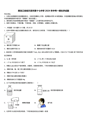 黑龙江省哈尔滨市第十七中学2024年中考一模化学试题含解析.doc