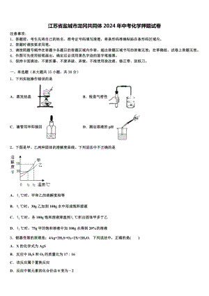 江苏省盐城市龙冈共同体2024年中考化学押题试卷含解析.doc