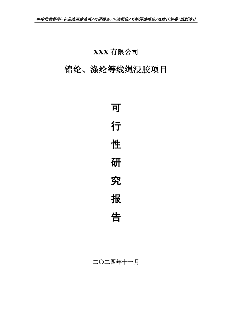 锦纶、涤纶等线绳浸胶项目可行性研究报告建议书.doc_第1页