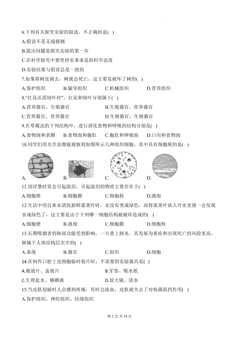 北师大版（2024）七年级生物上学期期中学情调研测评卷（含答案）.docx_第2页