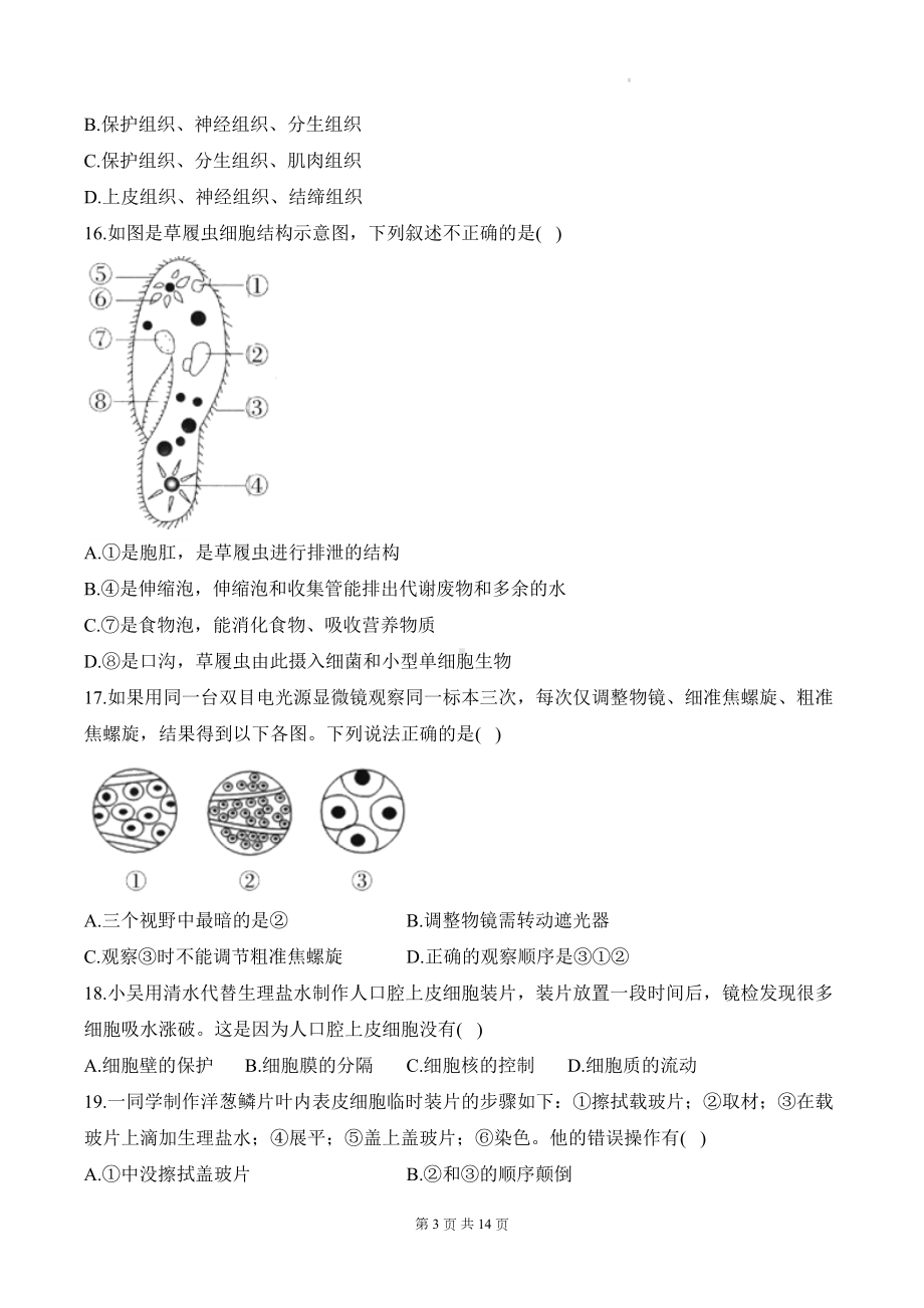 北师大版（2024）七年级生物上学期期中学情调研测评卷（含答案）.docx_第3页