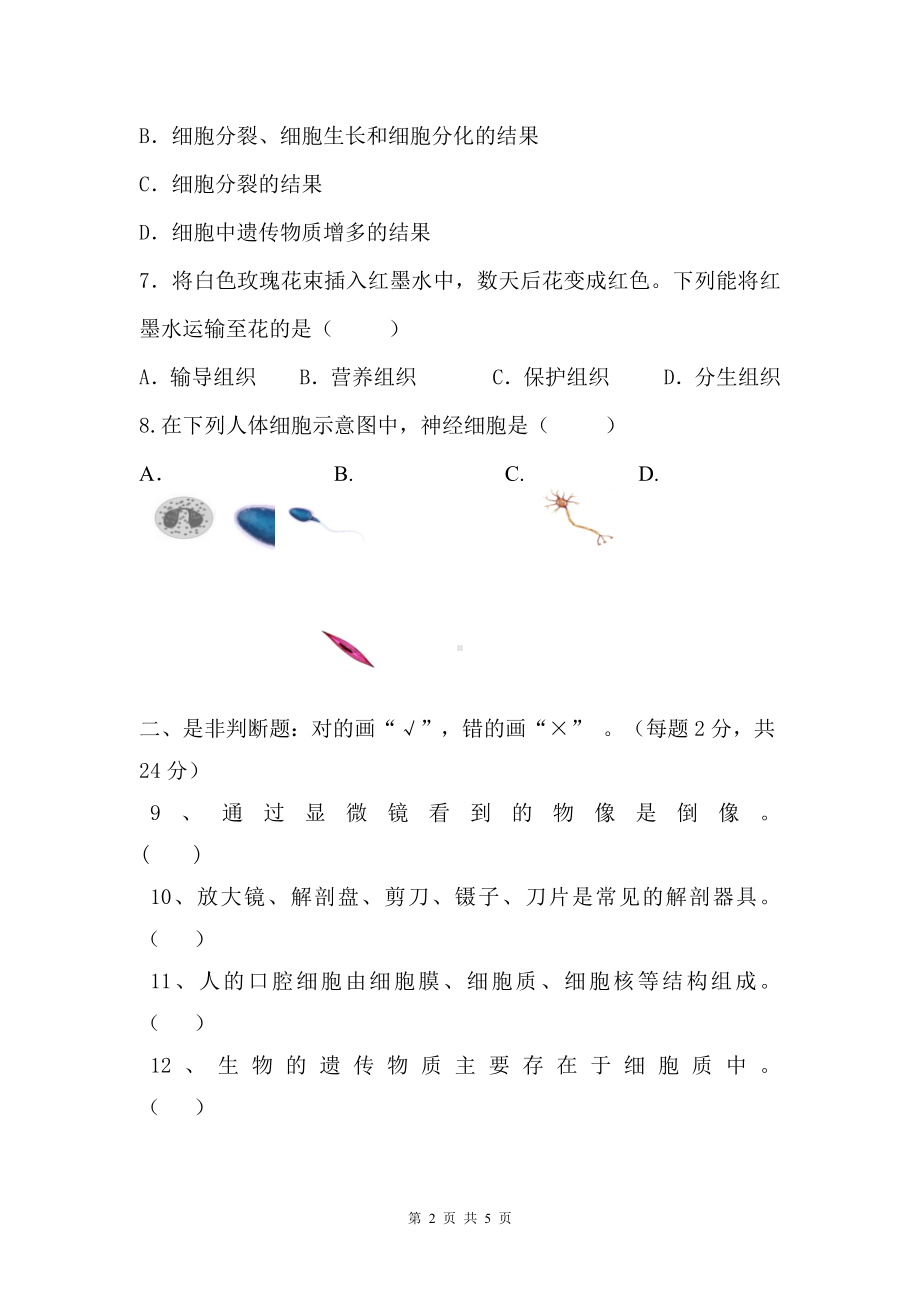 北师大版（2024新版）七年级上册生物期中模拟测试试卷（含答案）.docx_第2页