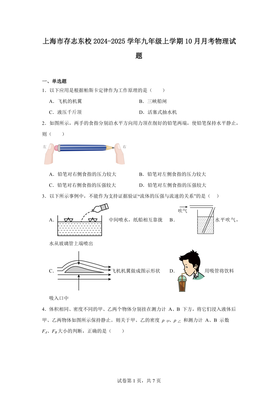 上海市存志东校2024-2025学年九年级上学期10月月考物理试题.docx_第1页