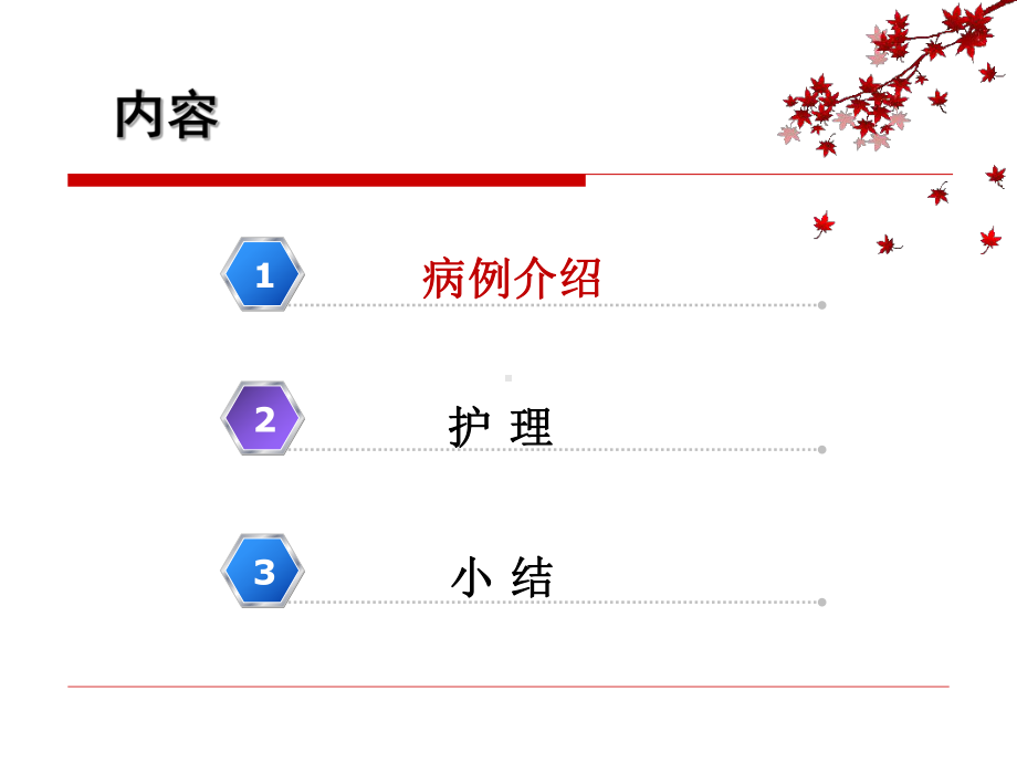 01.1例风湿性心脏病瓣膜置换术后并发电风暴患者的急救与护理（课件）.ppt_第2页