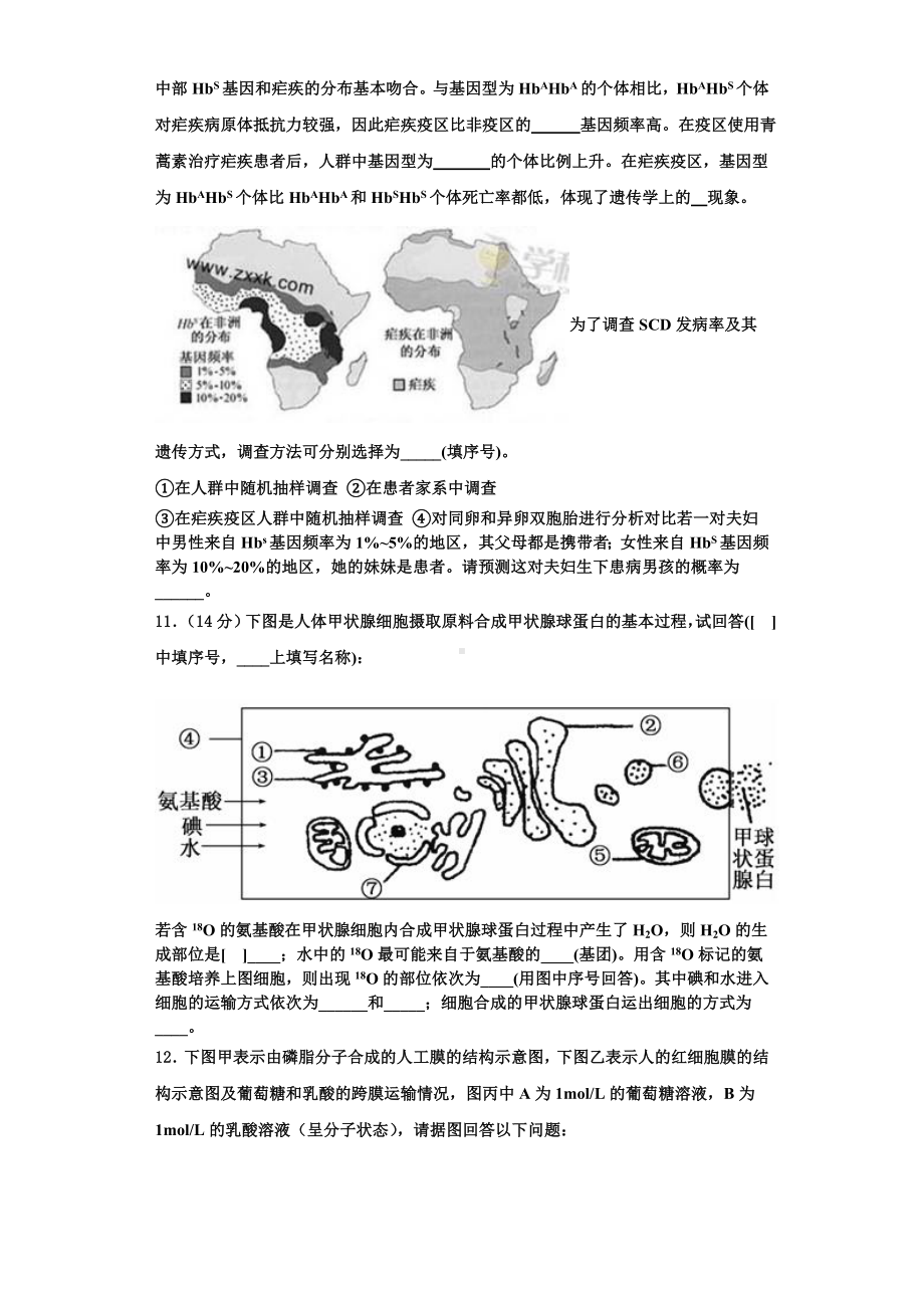 2023年南平市重点中学高一生物第一学期期末综合测试试题含解析.doc_第3页