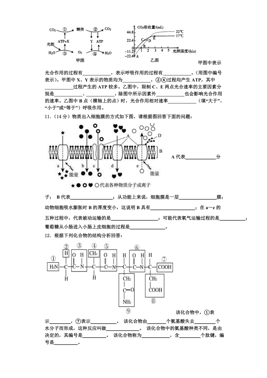 2023年安徽省五校高一生物第一学期期末考试试题含解析.doc_第3页