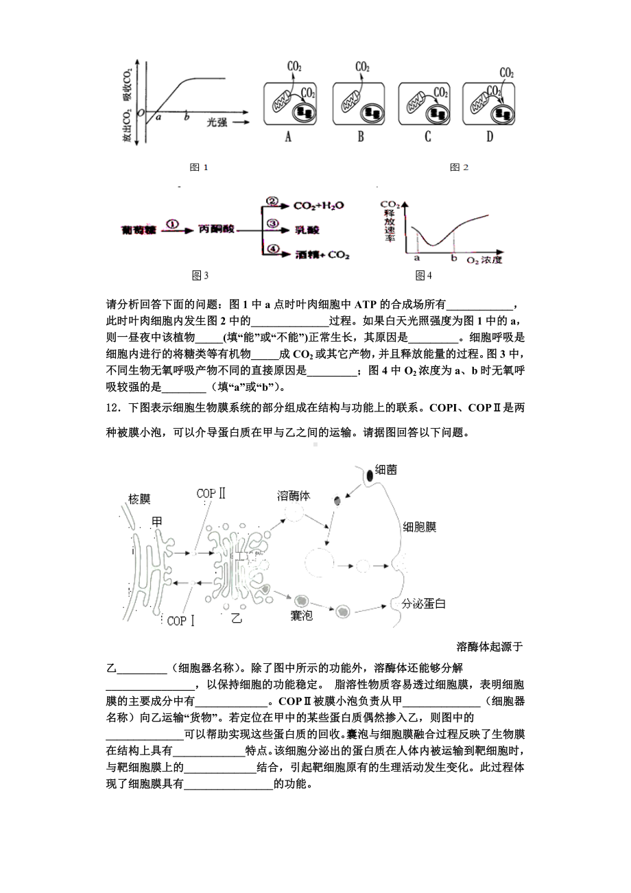 2024届河北省承德市高一生物第一学期期末综合测试模拟试题含解析.doc_第3页