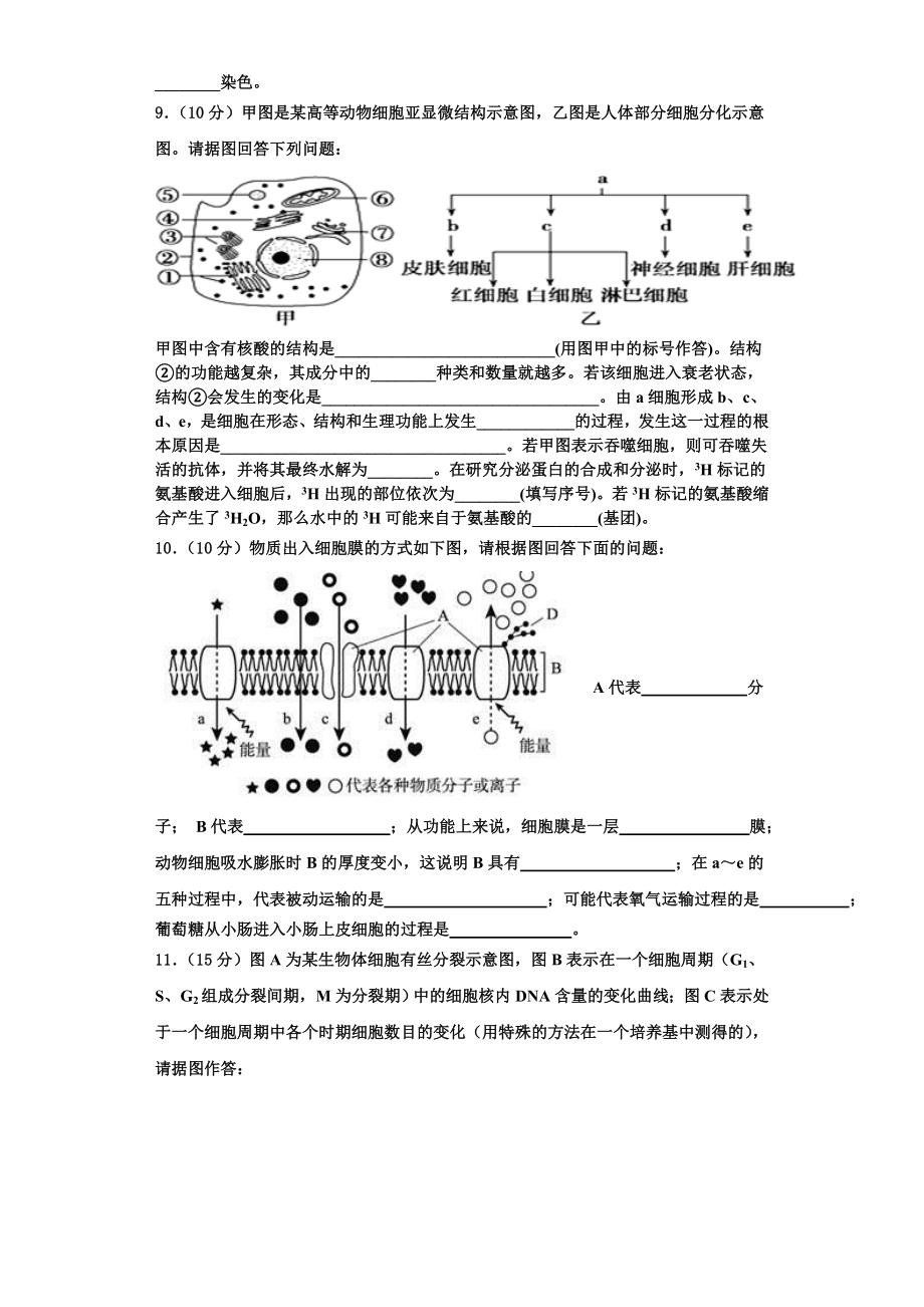 四川省广安市2023-2024学年高一生物第一学期期末学业水平测试试题含解析.doc_第3页