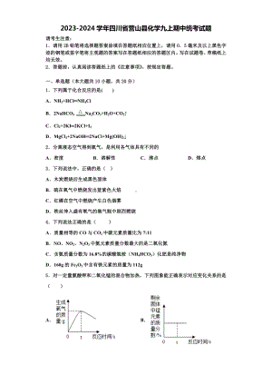 2023-2024学年四川省营山县化学九上期中统考试题含解析.doc