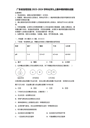 广东省宝塔实验2023-2024学年化学九上期中调研模拟试题含解析.doc