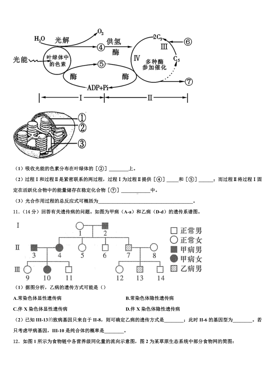 2024届云南省红河州高二生物第一学期期末统考模拟试题含解析.doc_第3页