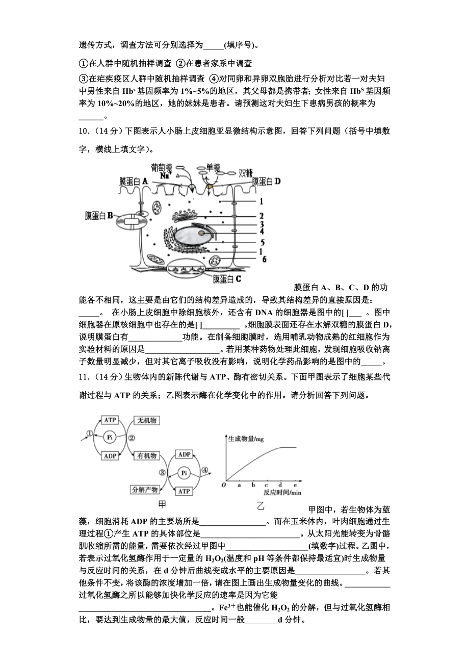 2023-2024学年江苏省淮安市楚州中学高一生物第一学期期末学业水平测试模拟试题含解析.doc_第3页