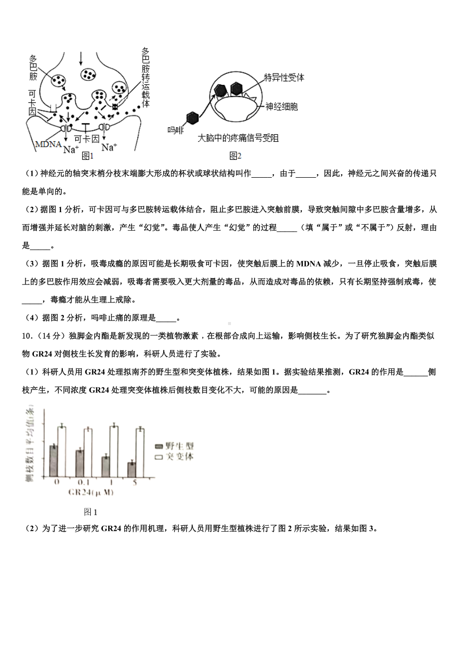 2023年宁夏长庆中学高二上生物期末复习检测试题含解析.doc_第3页