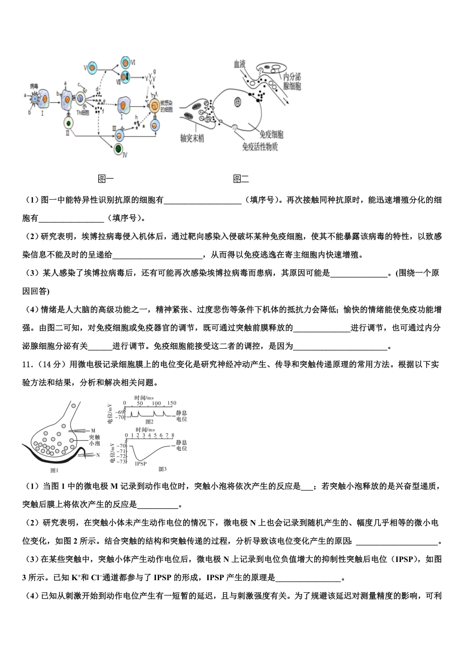 安徽省界首市2023-2024学年高二上生物期末经典试题含解析.doc_第3页