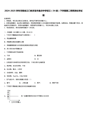 2024-2025学年河南省三门峡灵宝市重点中学初三(54级)下学期第二周周测化学试题含解析.doc