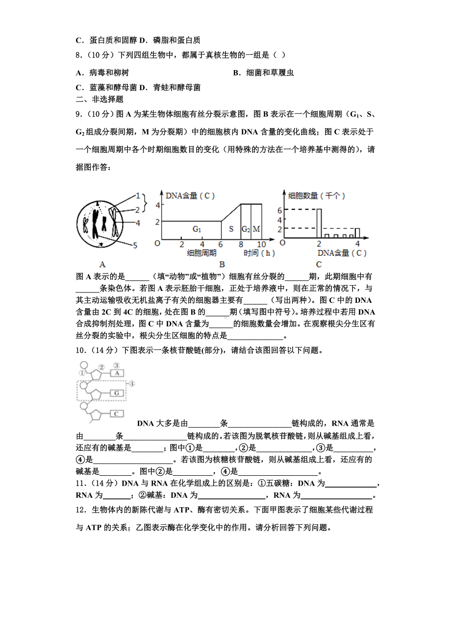 2024届福建省三明市清流县第二中学高一生物第一学期期末学业水平测试试题含解析.doc_第2页