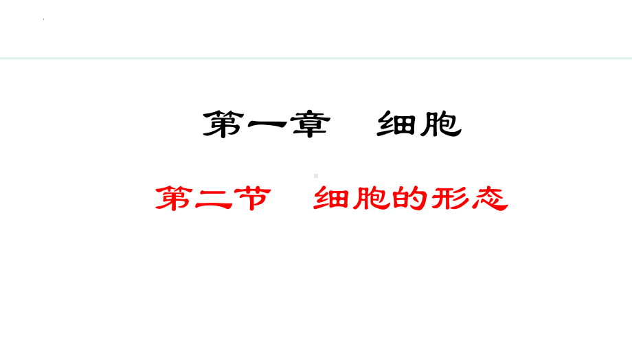 1.1.2细胞的形态 ppt课件--2024新冀少版七年级上册《生物》.pptx_第1页