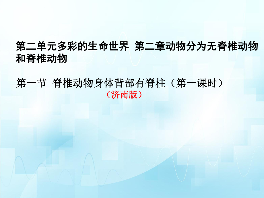 2.2.2脊椎动物身体背部有脊柱ppt课件（第一课时）ppt课件-2024新济南版七年级上册《生物》.ppt_第2页