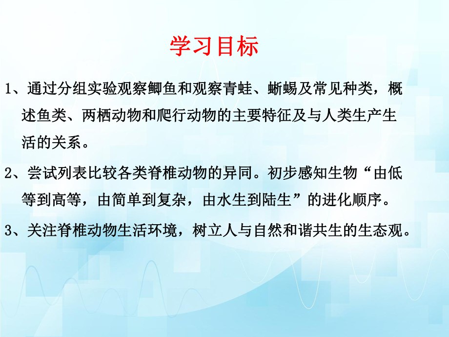 2.2.2脊椎动物身体背部有脊柱ppt课件（第一课时）ppt课件-2024新济南版七年级上册《生物》.ppt_第3页