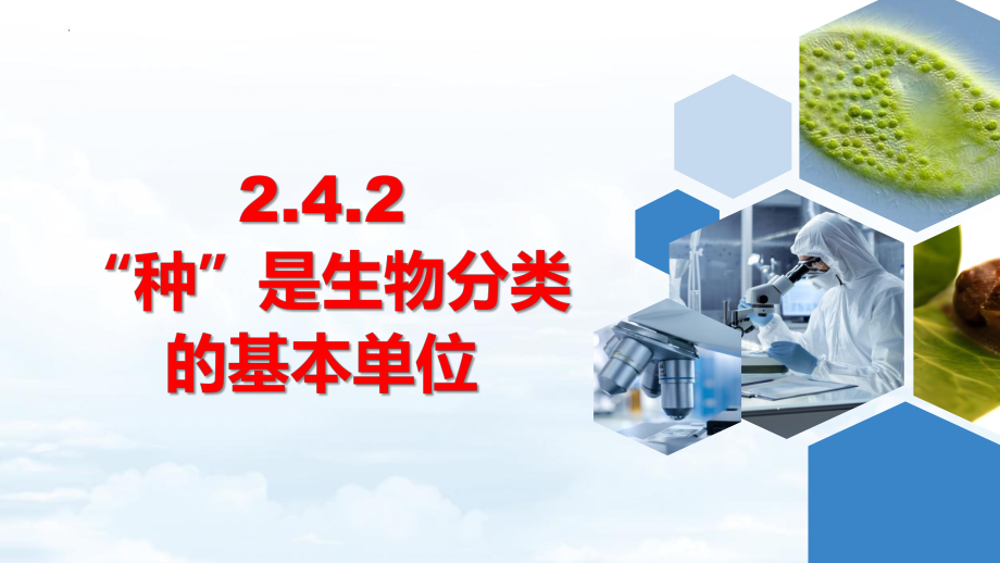 2.4.2“种”是生物分类的基本单位 ppt课件-2024新济南版七年级上册《生物》.pptx_第1页