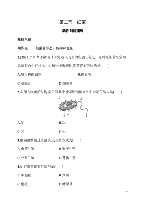 2.3.2细菌 同步练习（含答案）人教版（2024）生物七年级上册.docx