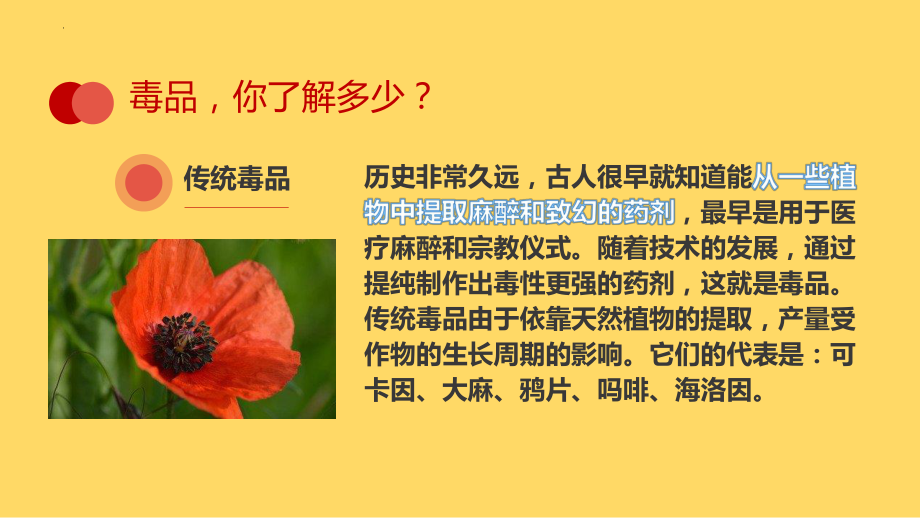 毒品猛如虎 生命贵如金 ppt课件--2024秋高三上学期禁毒宣传主题班会.pptx_第3页