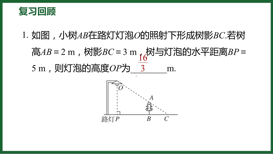 1.6 利用三角函数测高 预习导学 课件2024-2025学年度北师大版数学九年级下册.pptx_第2页